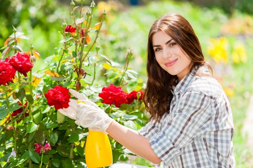 Professional garden design by Stoke Newington experts