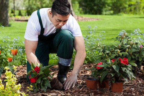 Gardener assessing a lawn and plants during inspection