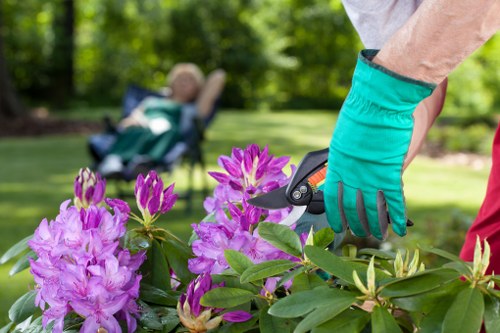 Beautifully maintained Stoke Newington garden by professionals