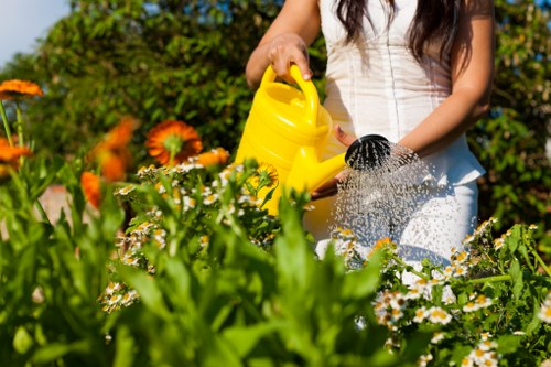 A woman, dressed in a white sleeveless top, is watering a lush garden bed with a yellow watering can. The garden features a mix of flowering plants, including orange and white blooms, bordered by green foliage. In the background, there are tall, dense hedges and trees that create a private outdoor space. The foreground displays a dense bed of flowers and plants, with some of the flowers having delicate petals and natural colour variation. The garden surface includes a well-maintained lawn with dense, evenly cut grass, and a paving area with a textured stone surface is partially visible to the right. The scene is set outdoors on a clear day with bright natural light, enhancing the vibrant colours of the plants and the greenery. The image suggests a well-kept garden space suitable for regular landscaping and gardening maintenance, highlighting tools and natural plant growth typical of Stoke Newington outdoor gardens.