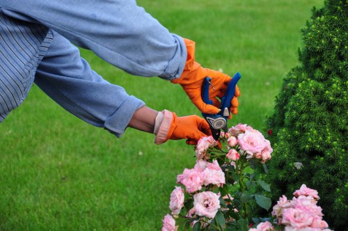 Trainer delivering modern slavery awareness to gardening staff