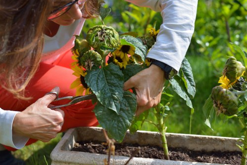 Experienced gardeners working in Stoke Newington garden