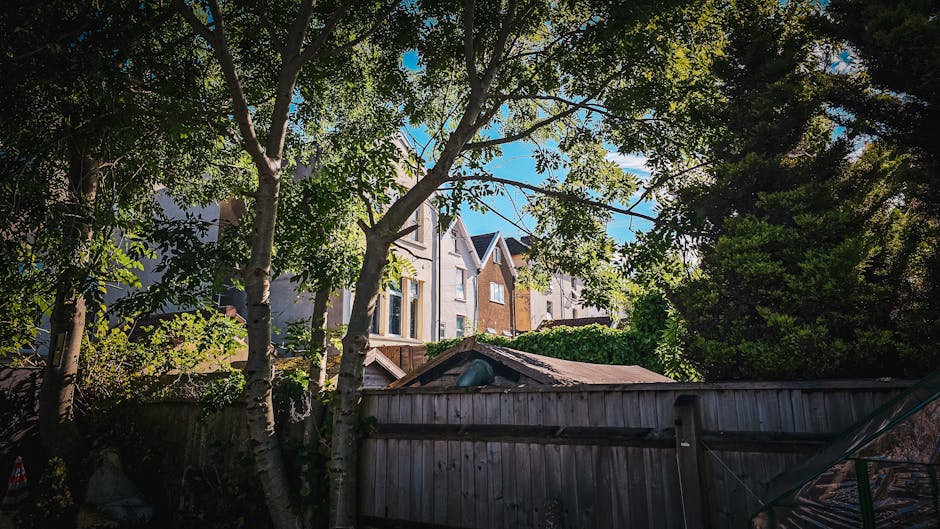 A backyard garden in Stoke Newington with lush green trees casting shadows over a wooden fence. The garden features a well-maintained lawn bordered by garden beds with soil and some scattered leaves. 